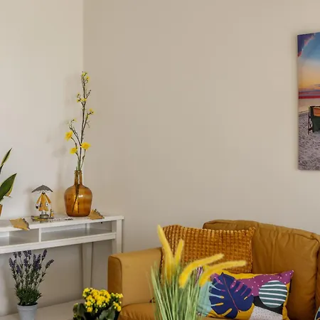 Sunflower Delight Nicosia