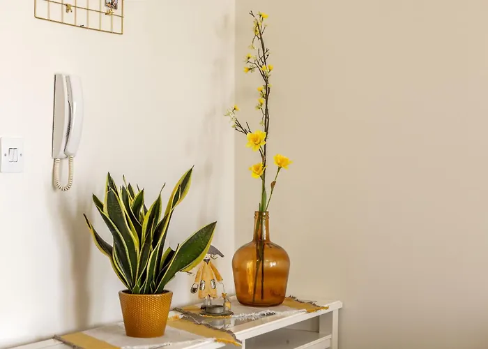 Sunflower Delight Nikósie