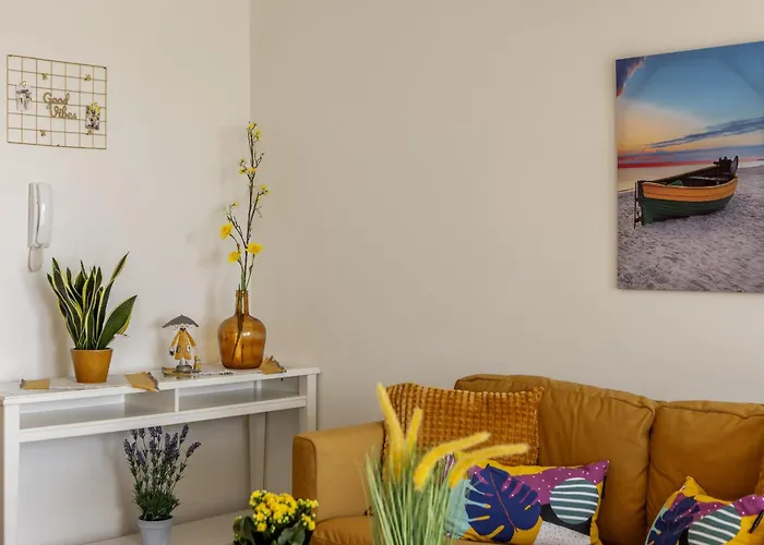 Sunflower Delight Nikósie