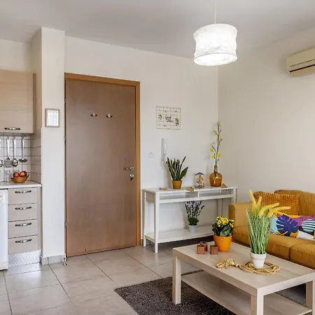 Sunflower Delight * Λευκωσία